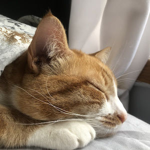 Meet your Posher, Mar